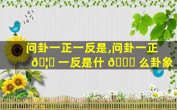 问卦一正一反是,问卦一正 🦈 一反是什 🕊 么卦象